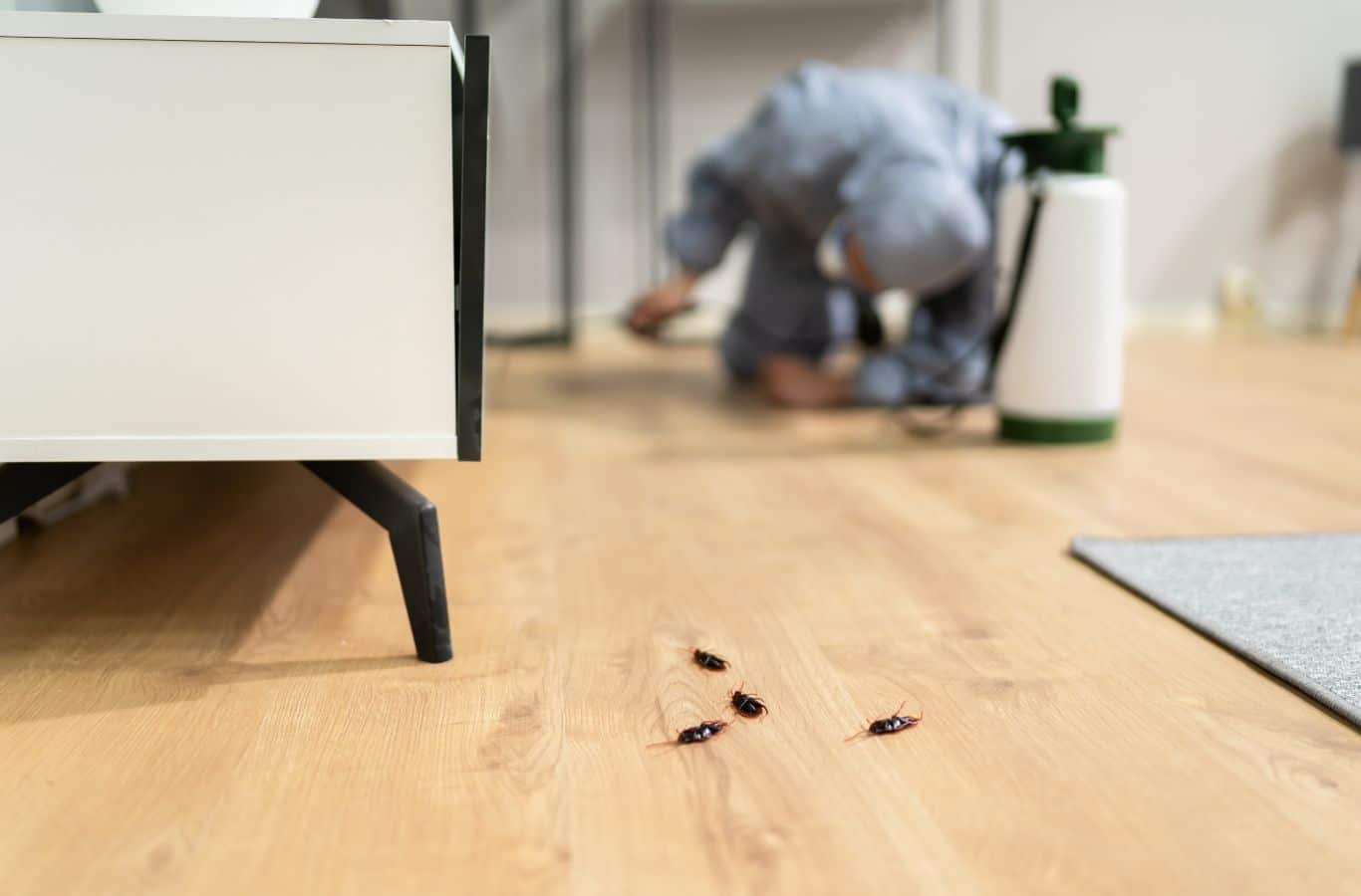 A team member from Cura Termite and Pest Control applying pest control treatment at a Chino Hills home to showcase effective service and local expertise.