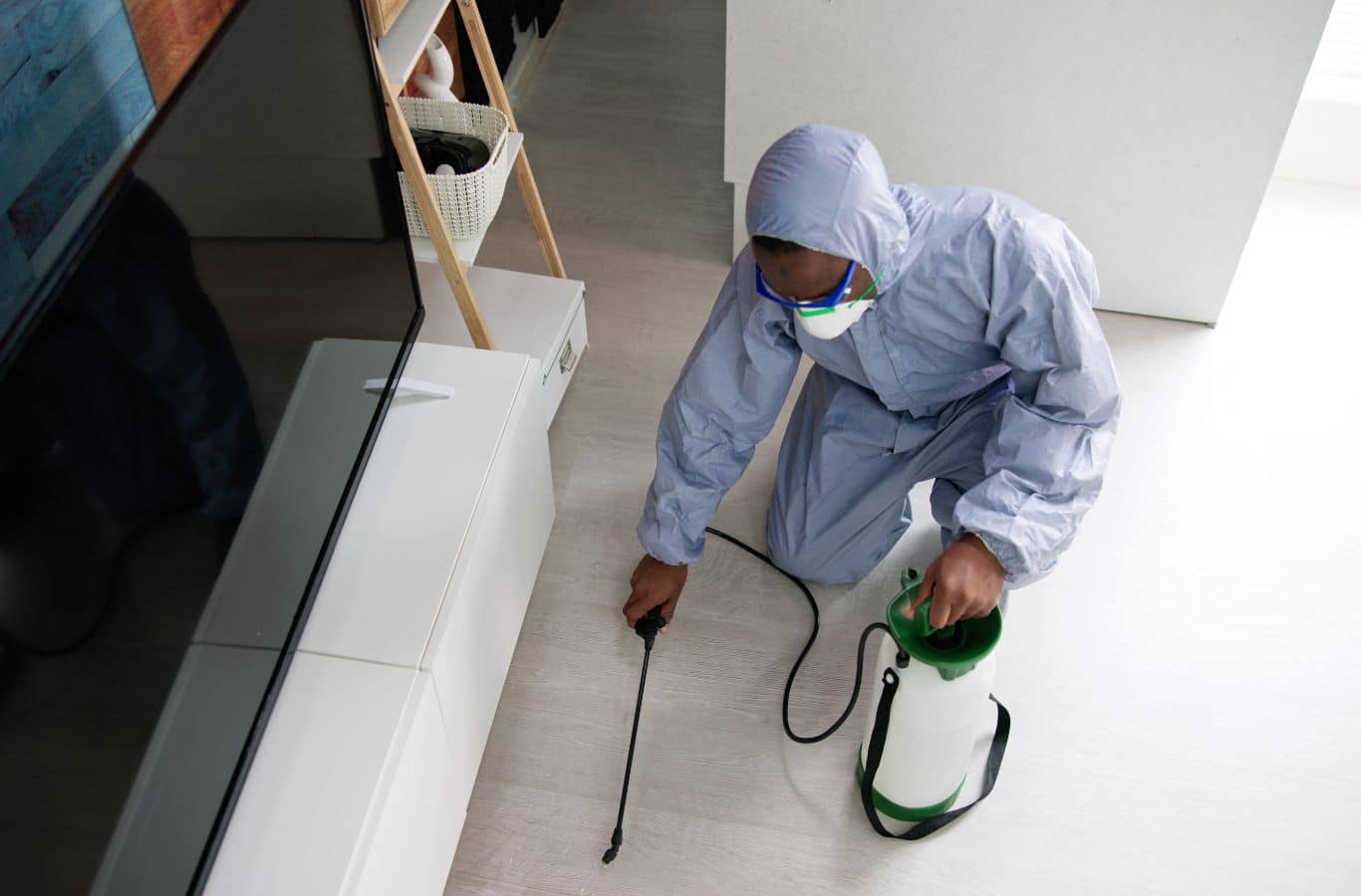 A Cura Termite and Pest Control team member delivering exterminator in Tustin, CA, demonstrating the benefits of using a local professional for this essential service.