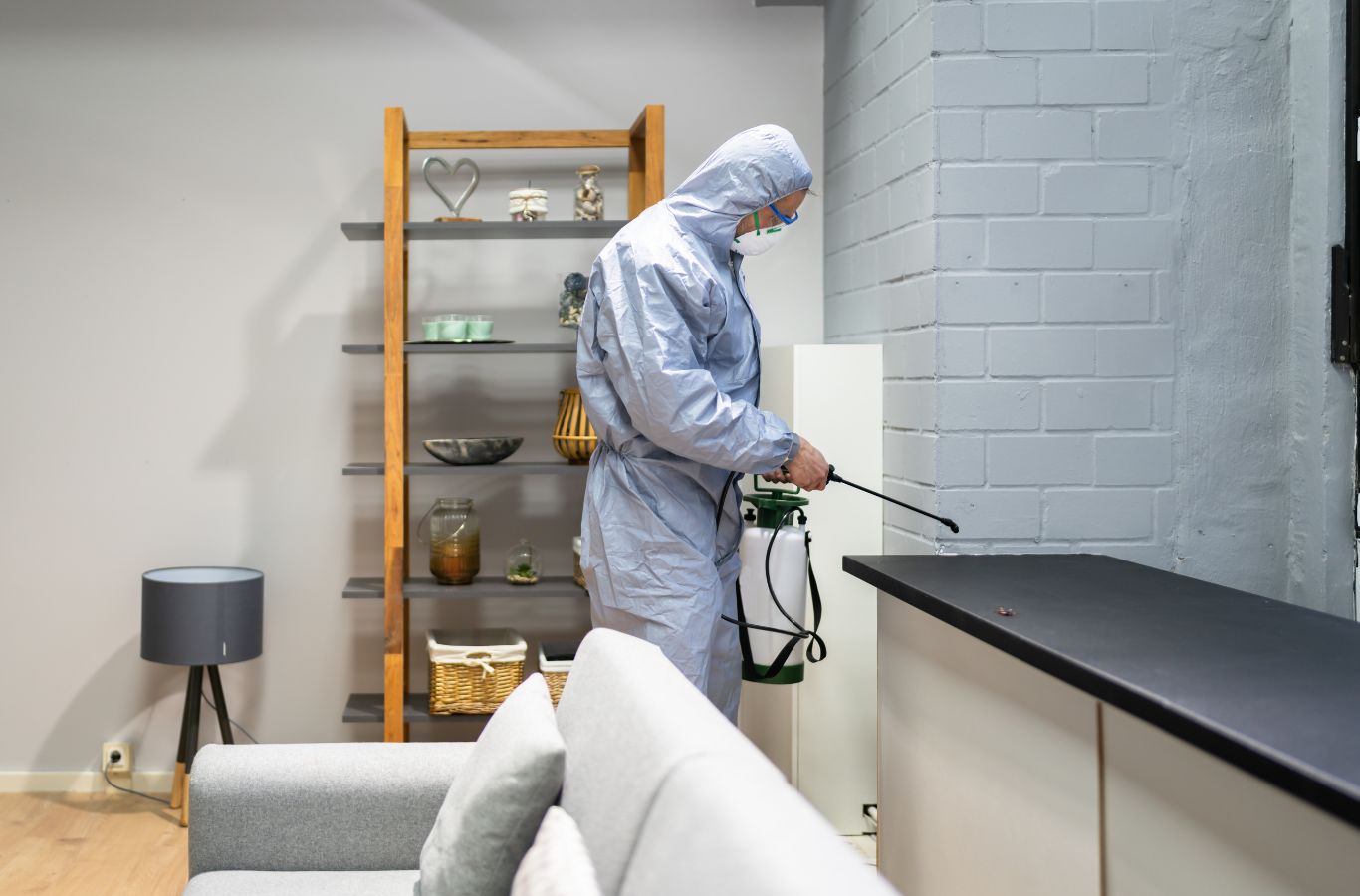 Cura Termite and Pest Control expert delivering pest control in San Pedro, CA with precision equipment ensuring reliable service and consistent results. Pest Control Near Me