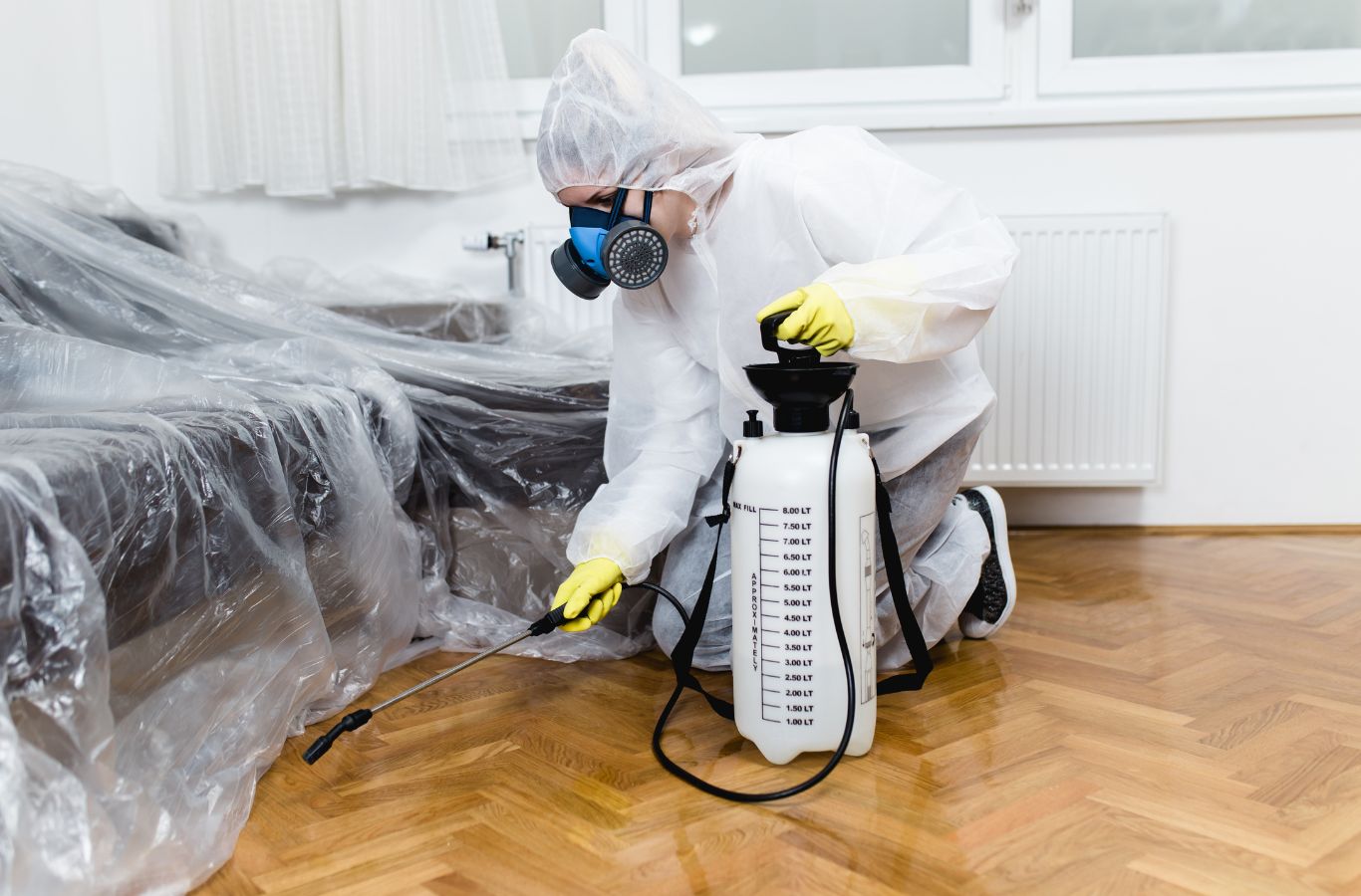 Cura Termite and Pest Control expert delivering termite extermination in Garden Grove, CA with careful inspection and effective treatment solutions. Termite Extermination Near Me.