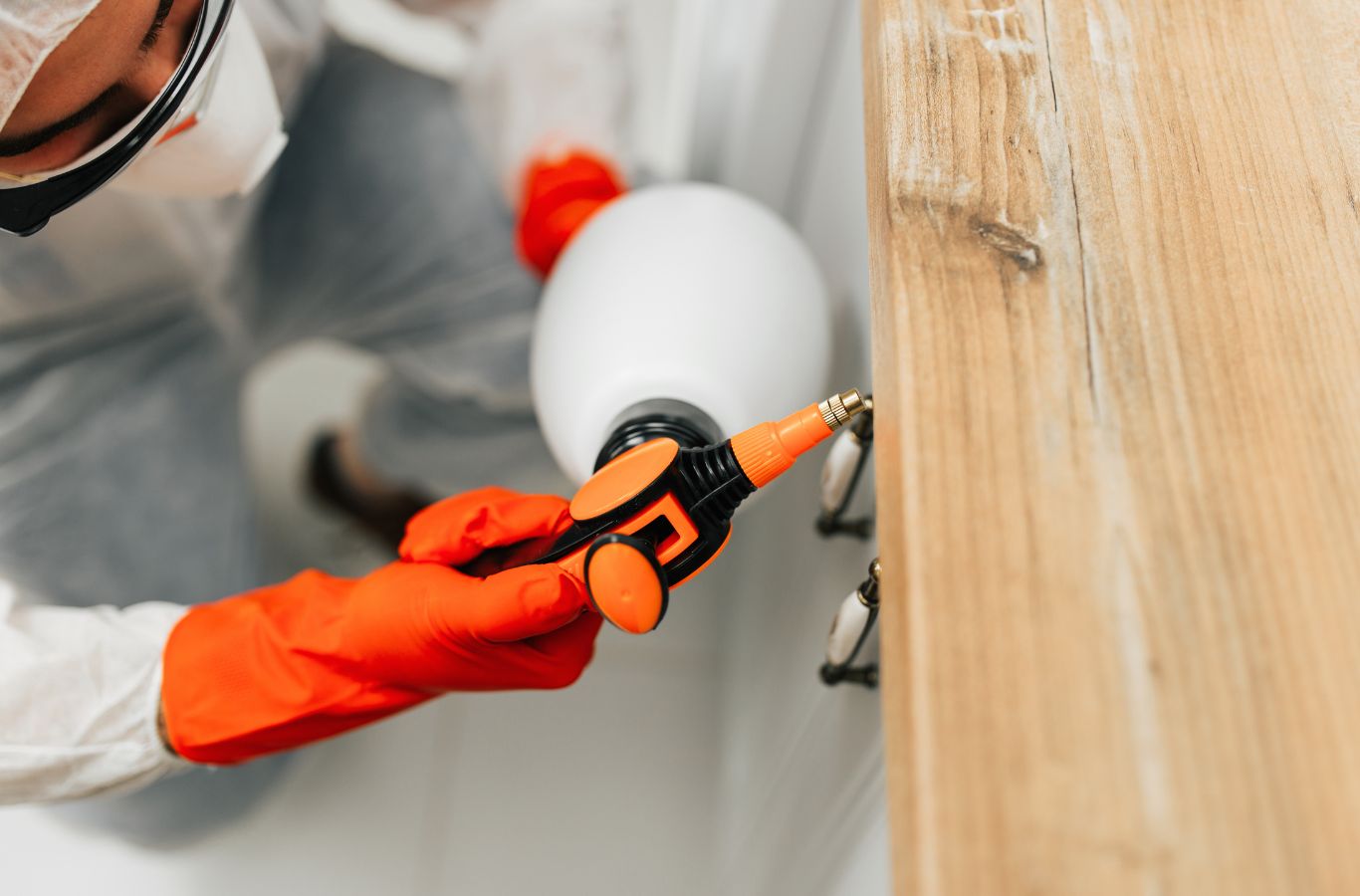 Cura Termite and Pest Control technician performing termite extermination in Sierra Madre, CA using advanced tools to protect hillside homes from infestations.