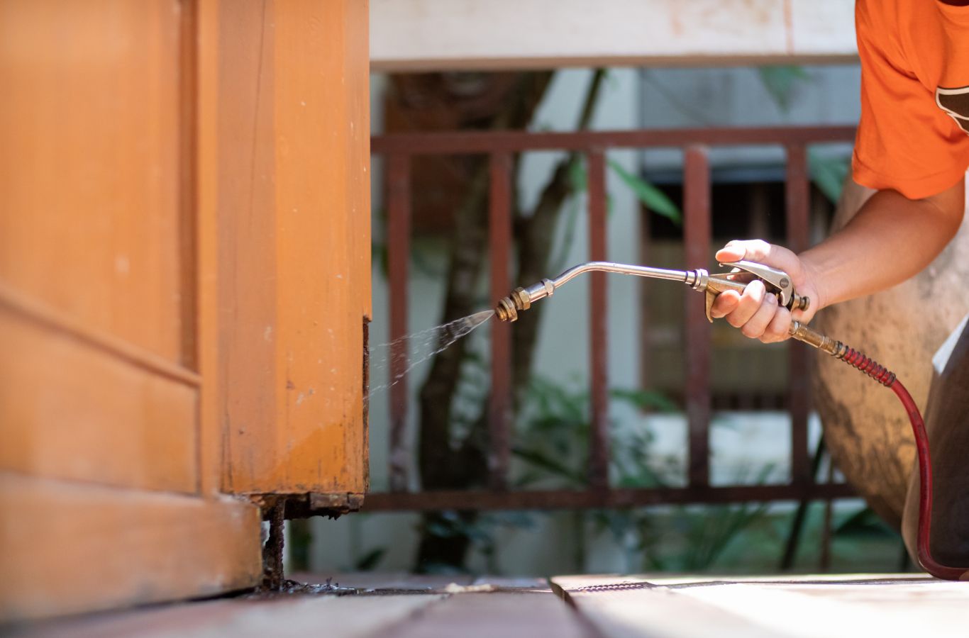 Cura Termite and Pest Control technician performing termite extermination in San Clemente, CA using advanced tools to eliminate infestations and protect coastal homes.