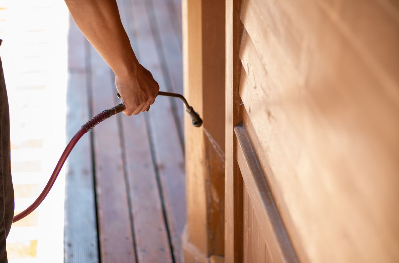 Cura Termite and Pest Control expert delivering termite extermination in Redondo Beach, CA with detailed inspection and effective treatment methods. Termite Extermination Near Me.