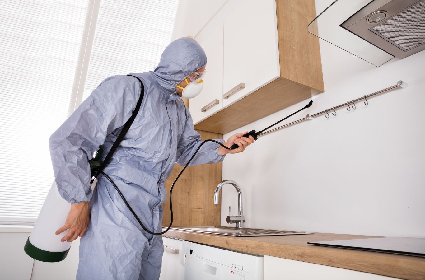 Cura Termite and Pest Control expert delivering pest extermination in La Habra with precision tools and proven methods for results. Pest Extermination Near Me