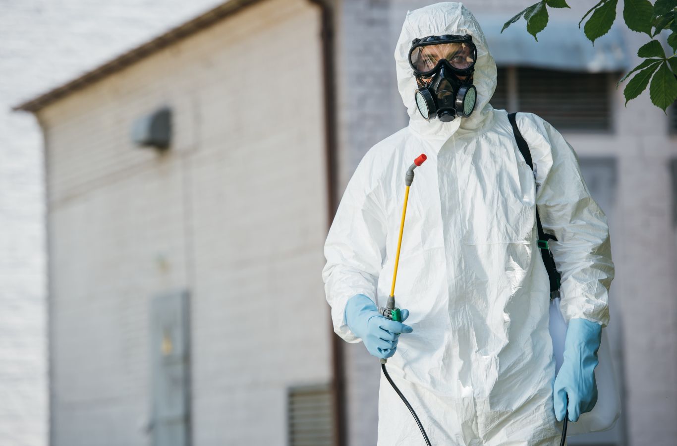 Cura Termite and Pest Control expert delivering commercial pest control in Torrance with precision tools and proven methods for results. Commercial Pest Control Near Me