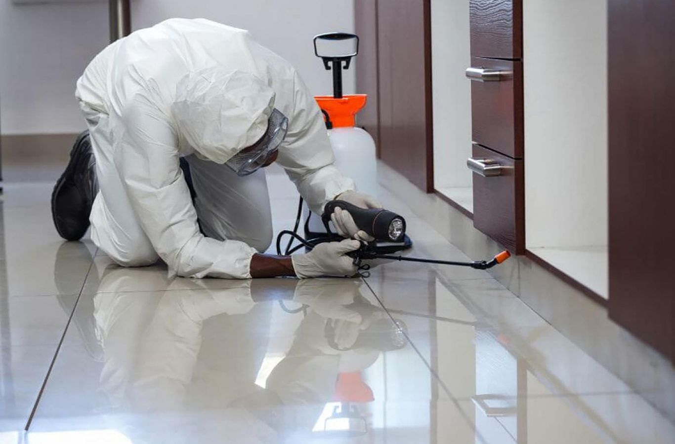 Cura Termite and Pest Control expert delivering commercial pest control in San Dimas with precision tools and proven methods for results. Commercial Pest Control Near Me