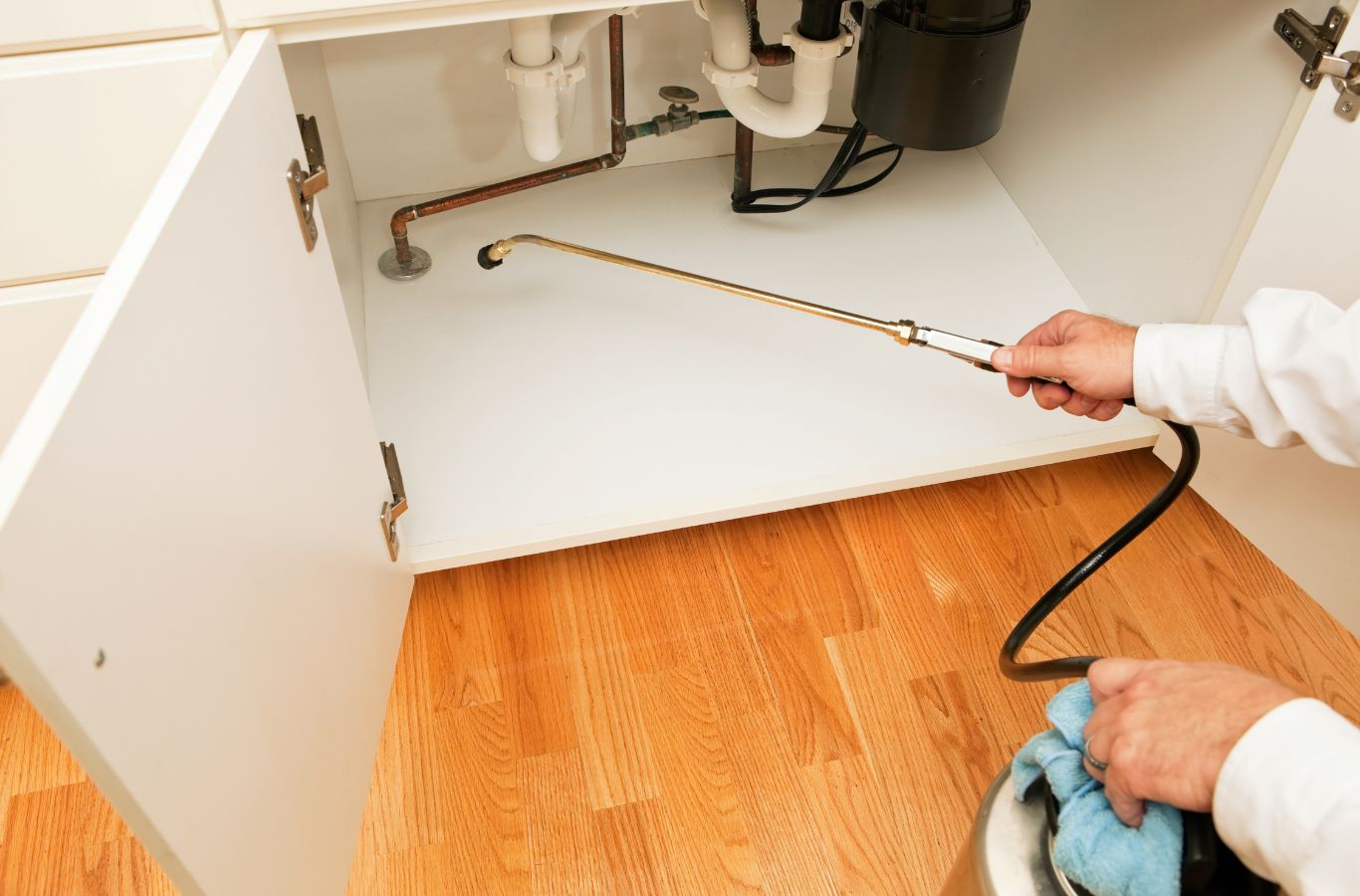 Cura Termite and Pest Control expert delivering pest extermination in La Mirada with precision tools and proven methods for results. Pest Extermination Near Me