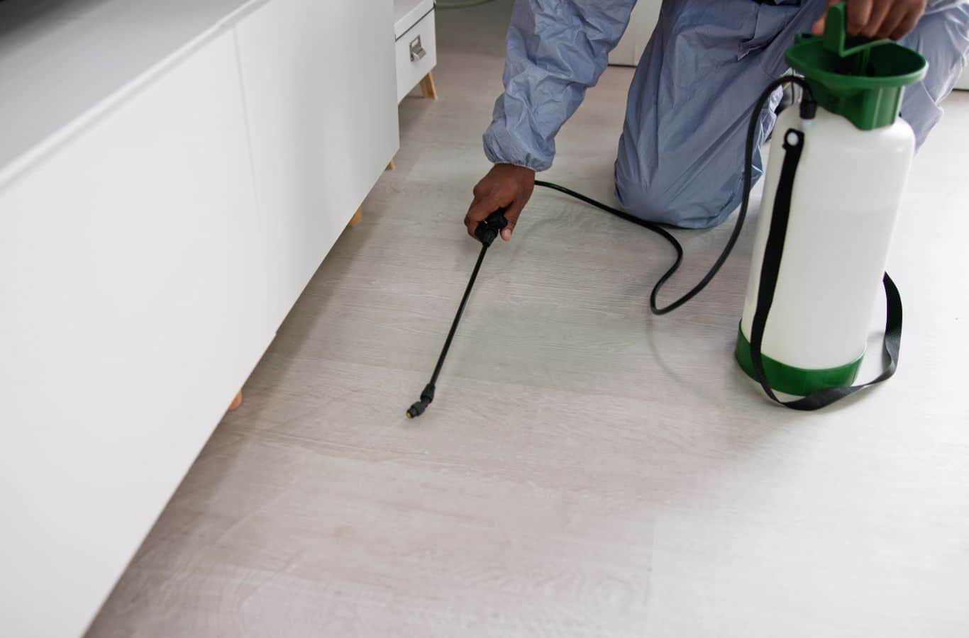 Cura Termite and Pest Control expert applying pest treatment in Riverside County home highlighting effectiveness and local expertise