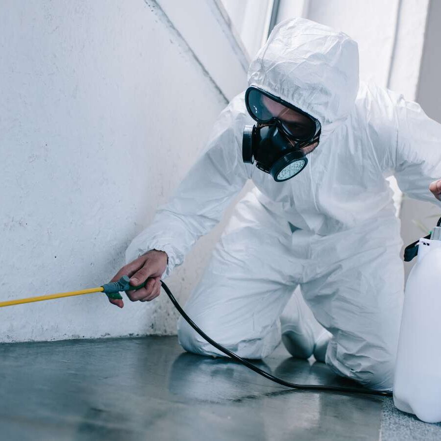 Safe and clean living environment in an Anaheim home after pest eradication services by CURA Termite & Pest Control, highlighting the importance of professional pest management.