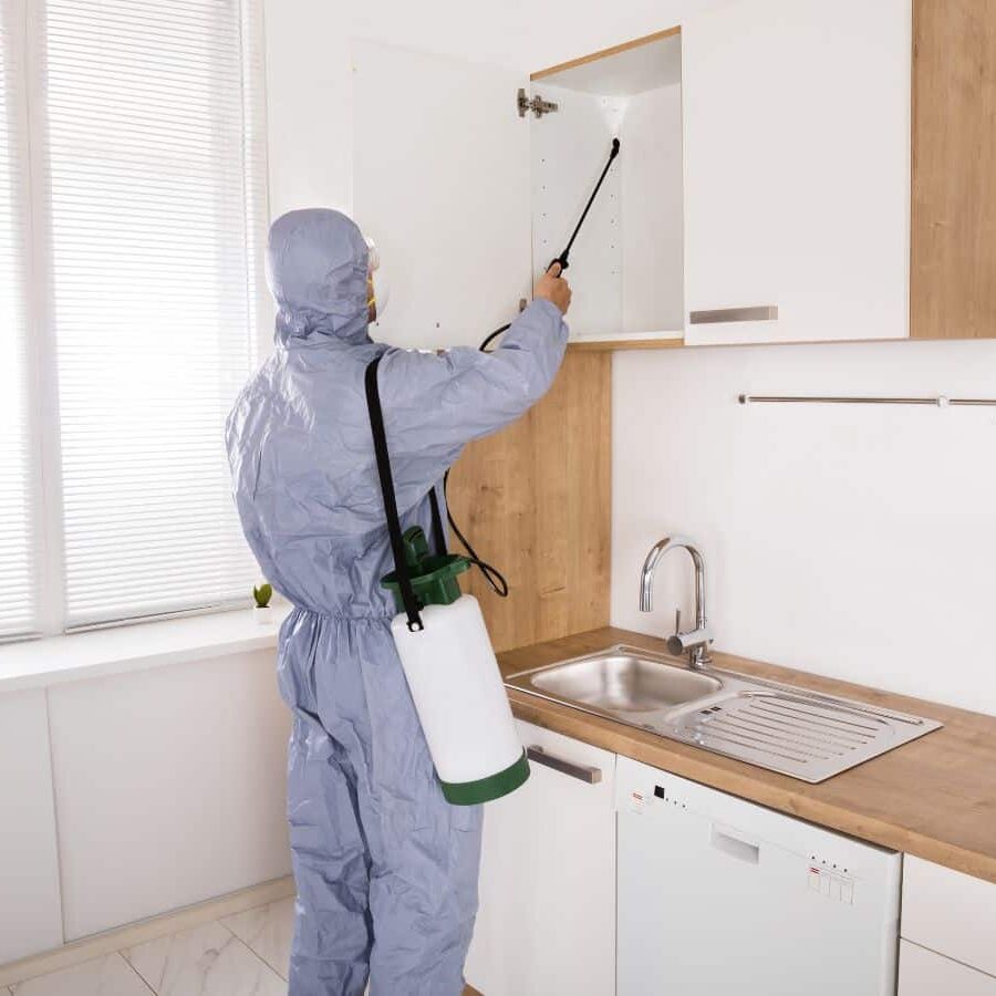 Discover the benefits of CURA Termite and Pest Control services in Orange County, CA, including safe and effective pest elimination
