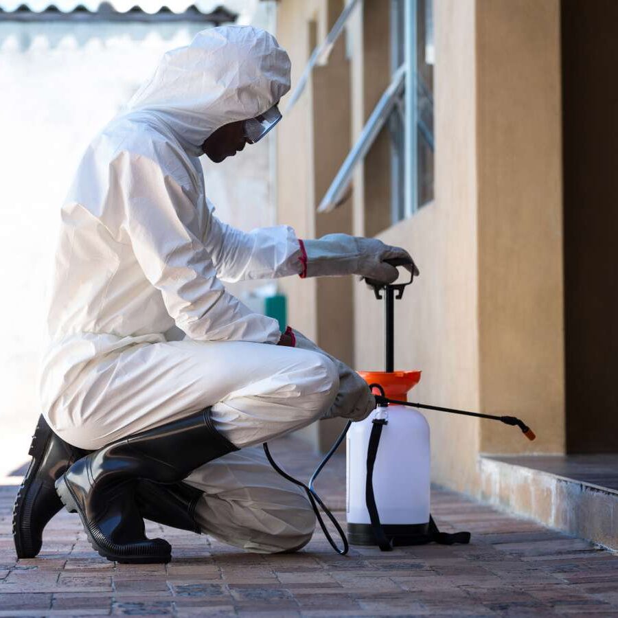 CURA Termite & Pest Control expert advising Orange homeowners on preventative pest control measures, showing a detailed plan and tools used, Pest Control Near Me.