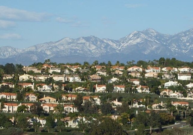 Pest Control Services in Laguna Niguel, CA by CURA Termite and Pest Control