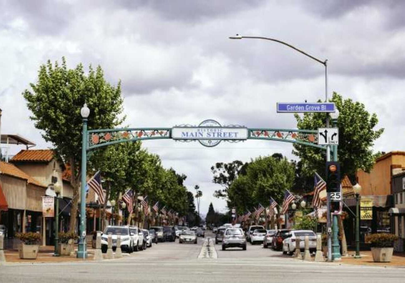 Expert pest extermination by CURA Termite & Pest Control in Orange, California.