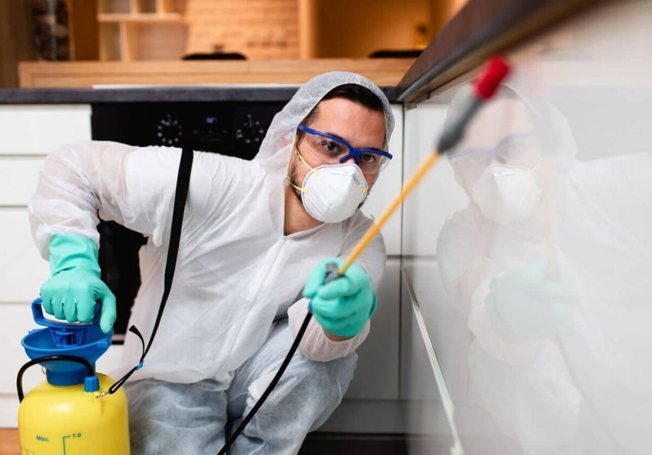 Pest Extermination