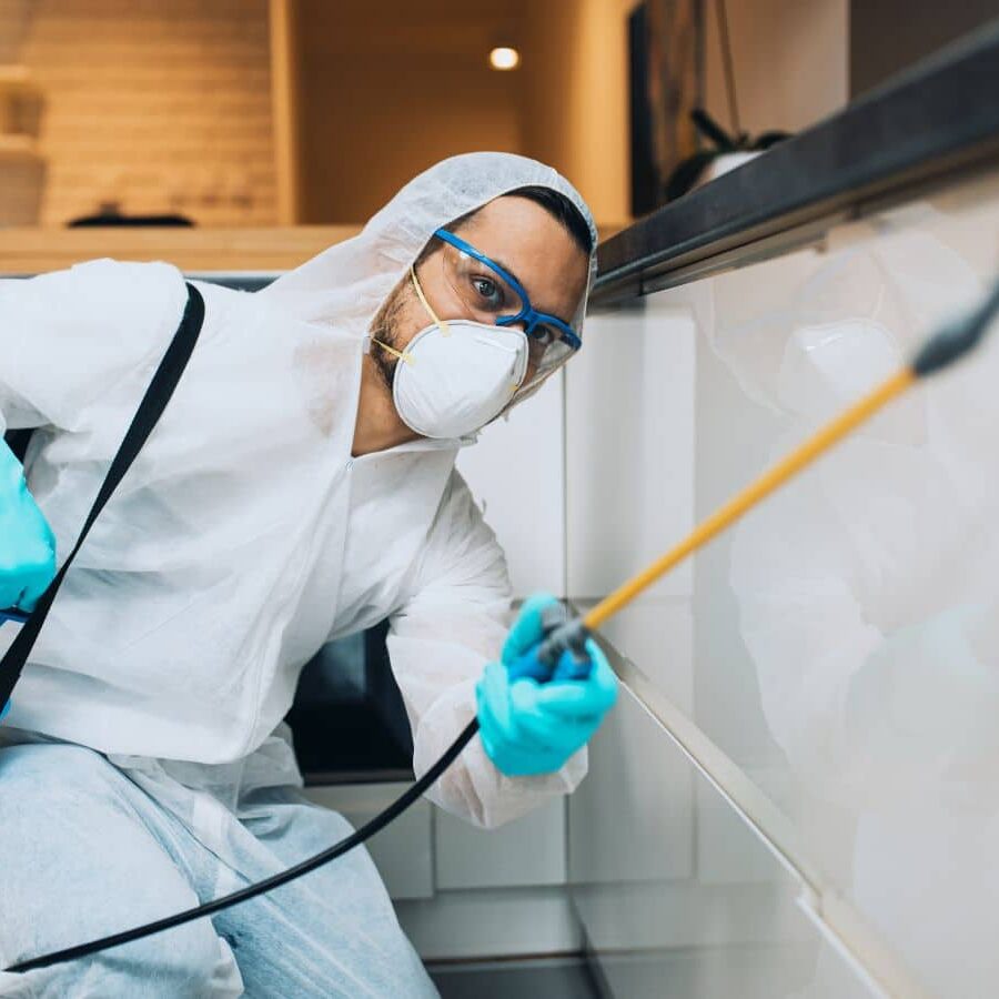 Learn why CURA Termite and Pest Control is the trusted choice for pest control in Orange County, CA, offering reliable and efficient services, Pest Control Near Me