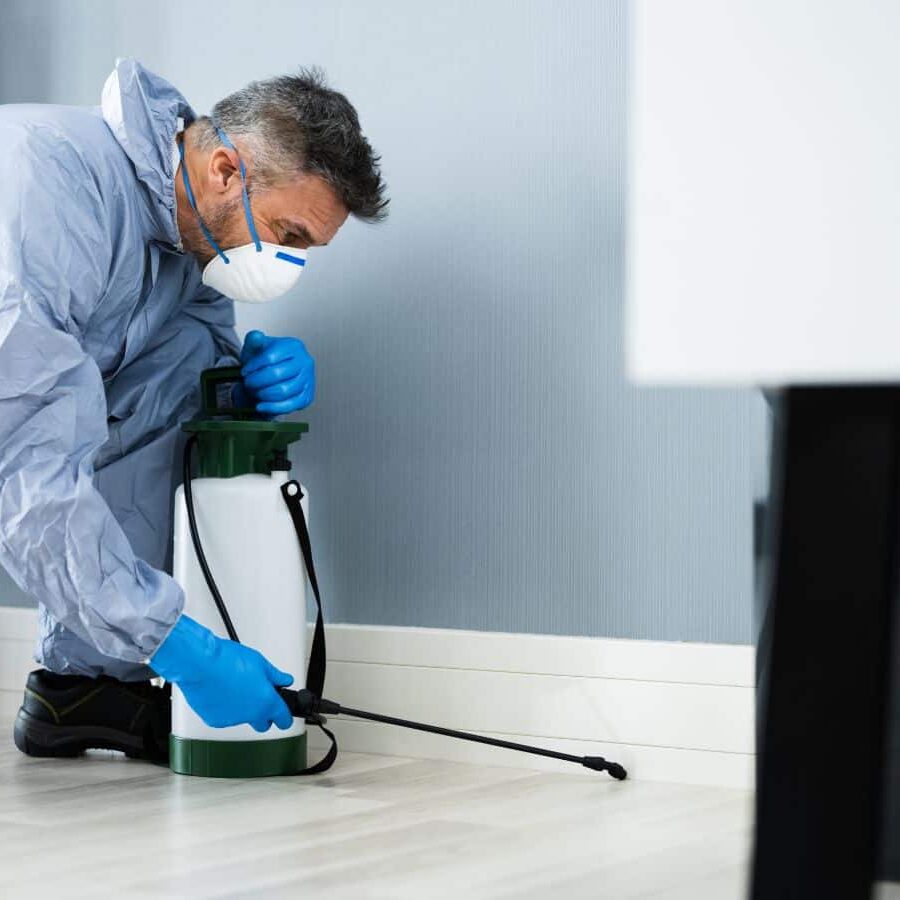 A CURA expert providing pest extermination in Irvine, showing why we are the best choice. Pest extermination near me.